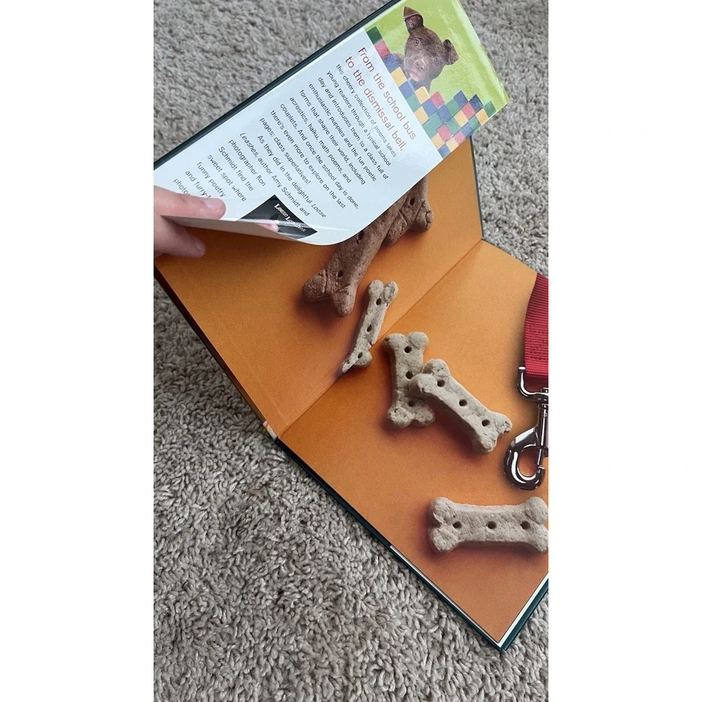 Dog-Gone School by Amy Schmidt (2013, Picture Book)